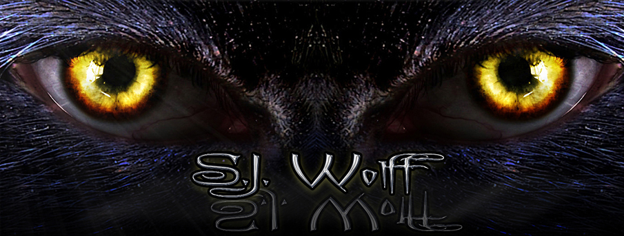 S.J. Wolff Banner